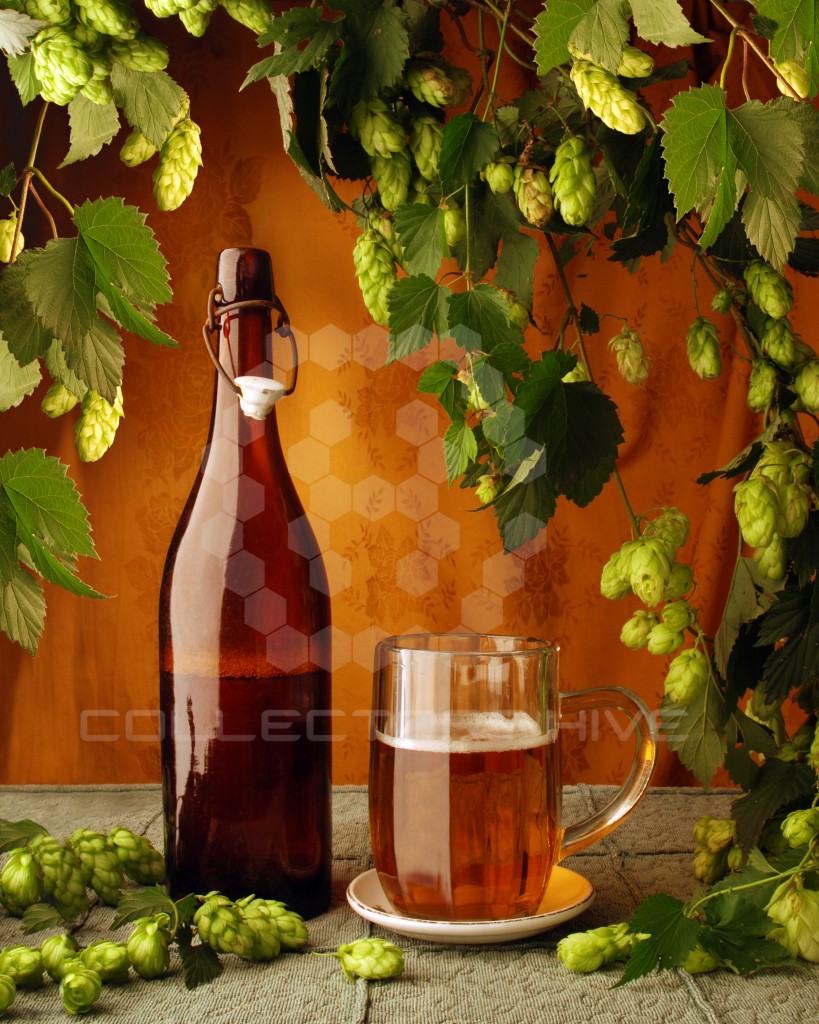 Medicinal Bitters Bottles Collectors Hive