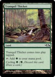 Tranquil Thicket (duel Decks: Elves Vs. Goblins) - Magic: The Gathering