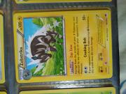 Zebstrika Regular Rare