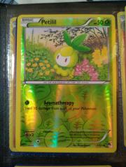 Petilil Reverse