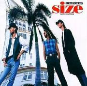 Size Isn't Everything (album)