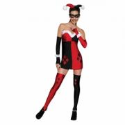 Secret Wishes Women's Dc Comics Super Villains Harley Quinn, Multicolor, Medium