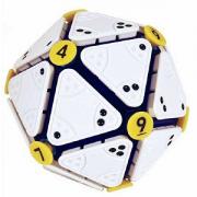 IcoSoKu Brainteaser Puzzle