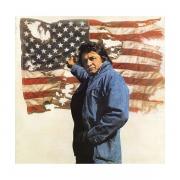 Ragged Old Flag