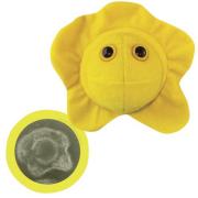 Giant Microbes Flesh Eating (Streptococcus pyogenes) Petri Dish