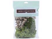 NOTM150619 - Variety Pack Moss 108.5 Cubic Inches