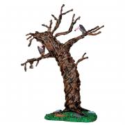 Twisted Vulture Tree