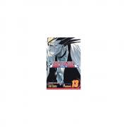 Bleach 13 (Paperback)