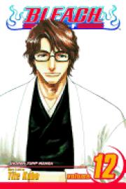 Bleach, Volume 12 (v. 12)