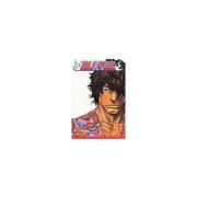 Bleach, Vol. 5