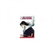 Bleach, Vol. 7