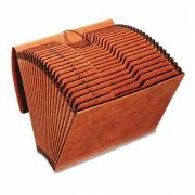 Accordion Files w/Flap, 21 Pockets, 1/3 Tab