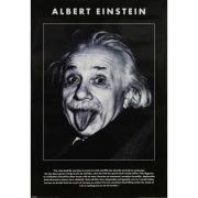 Albert Einstein - Domestic Poster