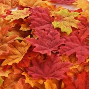 Hotop 300 Pieces Maple Leaves Artificial Autumn Fall Leaves Multicolor Mixed Art
