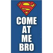 Licenses Products DC Comics Superman Come At Me Bro Logo Large Sticker
