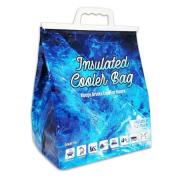 Insulated Cooler Bag | Pack of 24 | Ice N Cold