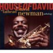 House of David
