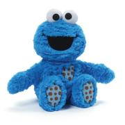 Sesame Street Cookie Monster Seated Plush 9