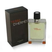 Terre D Hermes By Hermes 3.4 OZ EDT Spray For Men