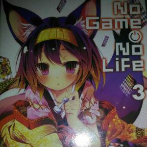 No Game No Life Vol.3