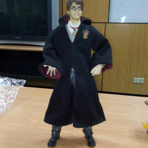 Hatry Potter 12