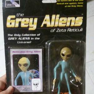 the Grey Aliens