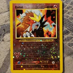 Entei (34)