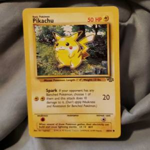 Pikachu (60/64)