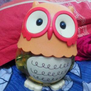 Orange Owl coin Bank