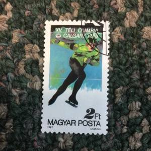1988 Winter Olympics, Calgary