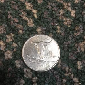 Montana 50 State Quarter 2007