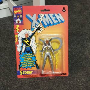 Storm Toybiz (Silver Outfit)