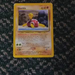 Shuckle Neo Revelation 