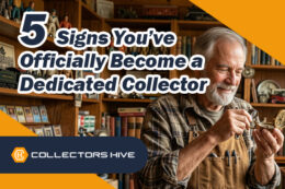 5 Signs You’ve Officially Become a Dedicated Collector (And Why It’s Great!)